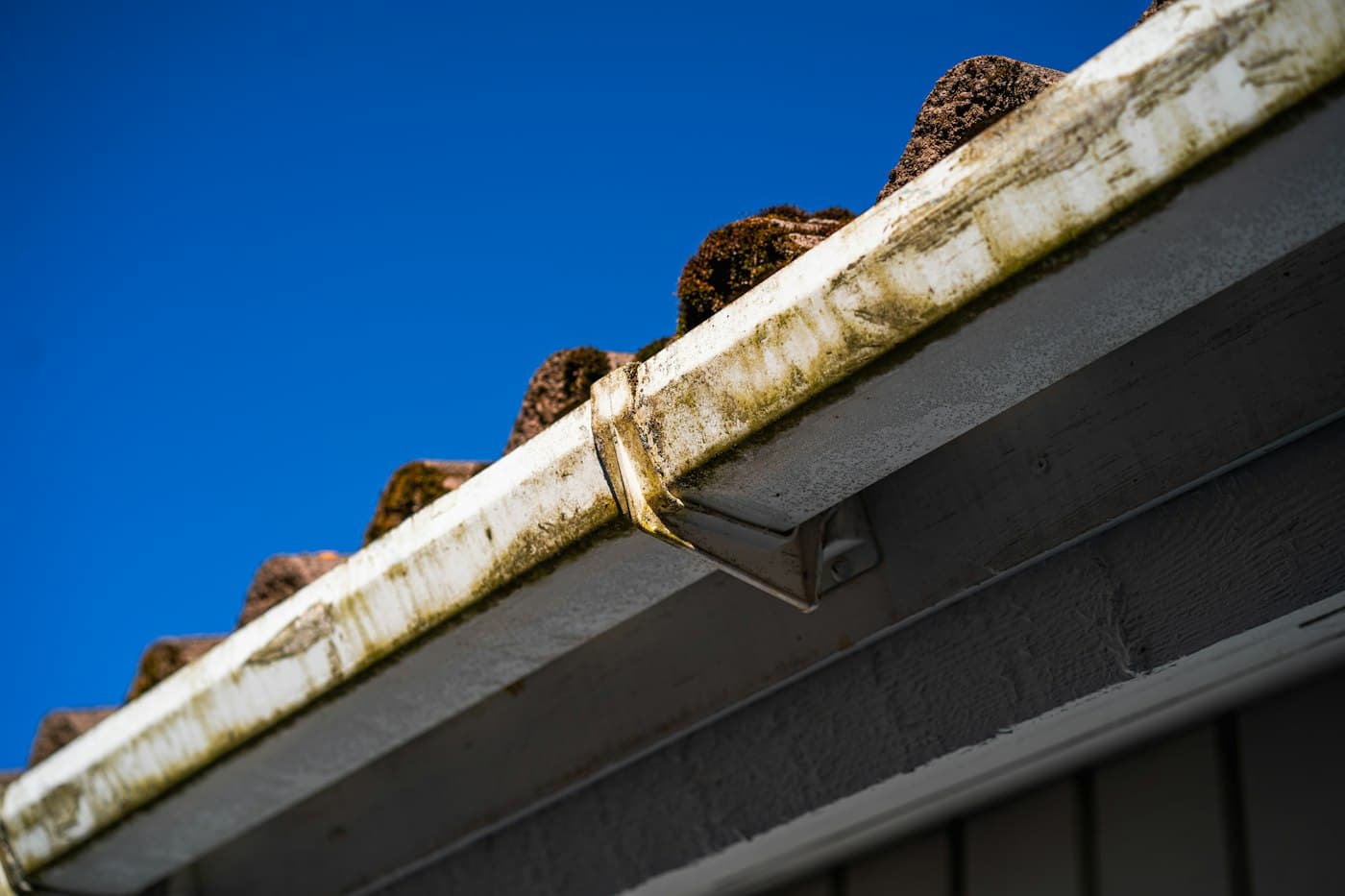 Gutter packed with moss and leaves